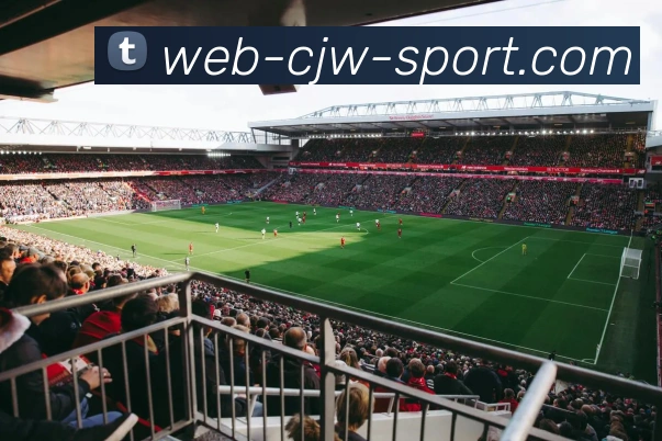 彩经网APP 封面图